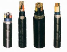  늾���|�N� 